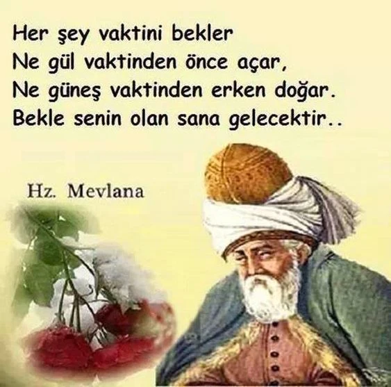 mevlana celaleddını rumının anlamli sozlerı ask hasret sevgı dın (6)